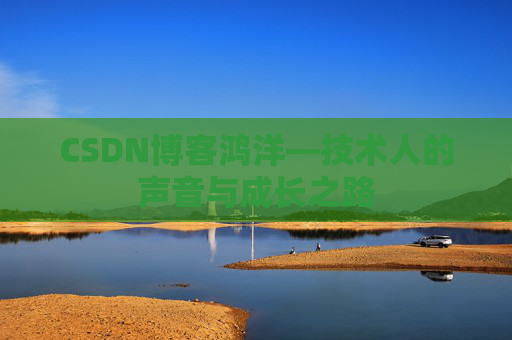 CSDN博客鸿洋—技术人的声音与成长之路