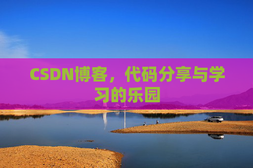 CSDN博客，代码分享与学习的乐园