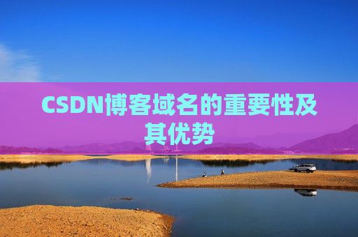 CSDN博客域名的重要性及其优势
